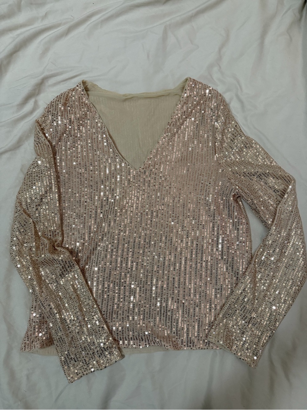 SHEIN Blush Sequin V-Neck Long Sleeve Top